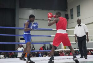 Amateur MMA boxers