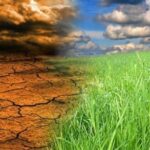 climate