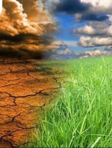 climate