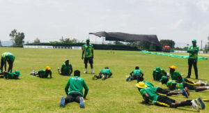 cricket-