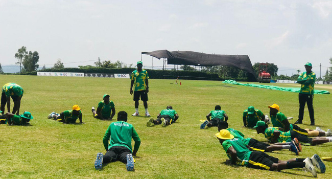 cricket-