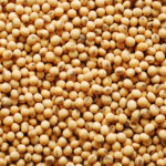 Close-up of piles of soy beans