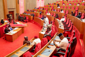 Terror attacks: Senate frustrates moves to probe military