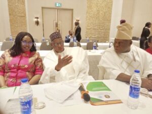 • Dr. Davis, Dr. Bobboyi and Prof. Kolawole at the session