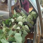 Gunmen kill 6 in early morning attack on Taraba highway