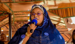 Nafisa-Nasir-Idris