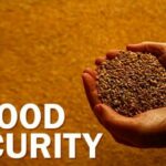 foodsecurity-e1554876215422