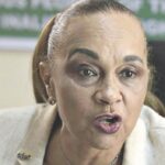 AnnKio Briggs, Niger Delta activist