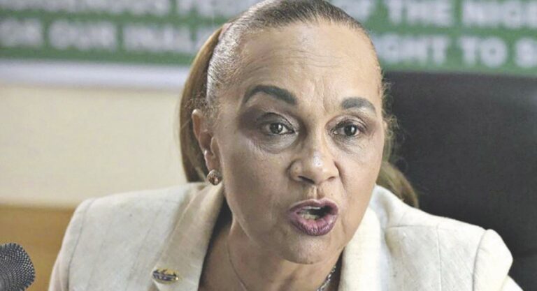 AnnKio Briggs, Niger Delta activist