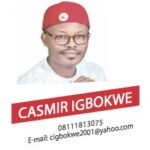Casmr Igbokewe Logo