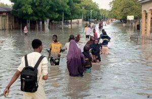 Flood