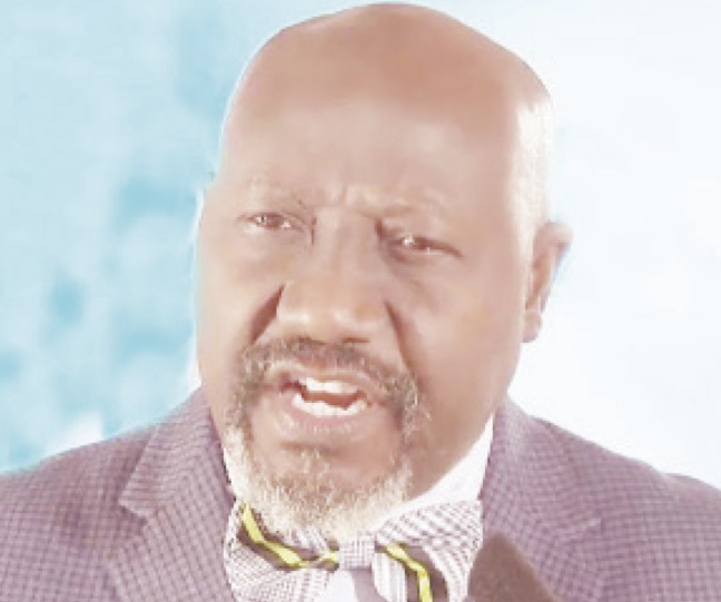 Fred Nzeako, constitutional lawyer