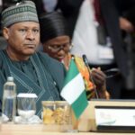 Minister of Information and National Orientation Mohammed Idris