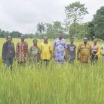 Happy smallholder farmer