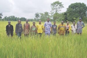 Happy smallholder farmer