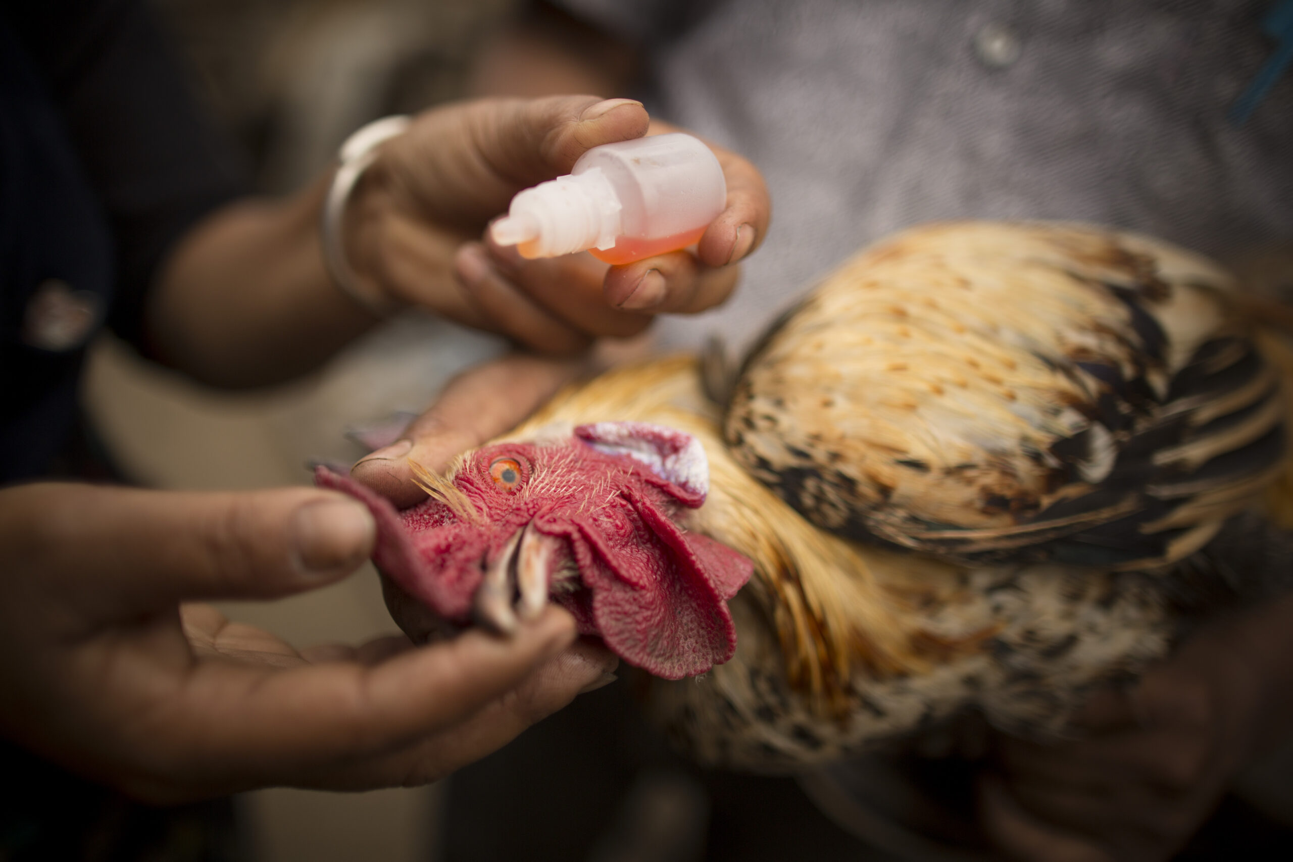 Galvmed in Nepal