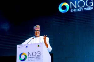 Mele Kyari, Group CEO NNPCL & OPEC Nigerian National Representative