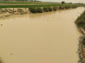 River_Hadejia_02-scaled-1