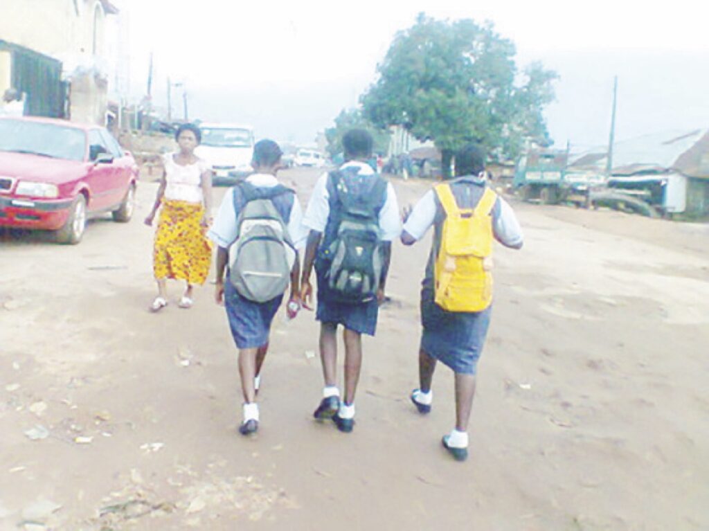 School