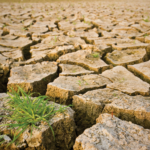 UN: Africa needs $1.3 trillion to combat climate change, receives just 1% of global funds