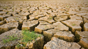 UN: Africa needs $1.3 trillion to combat climate change, receives just 1% of global funds