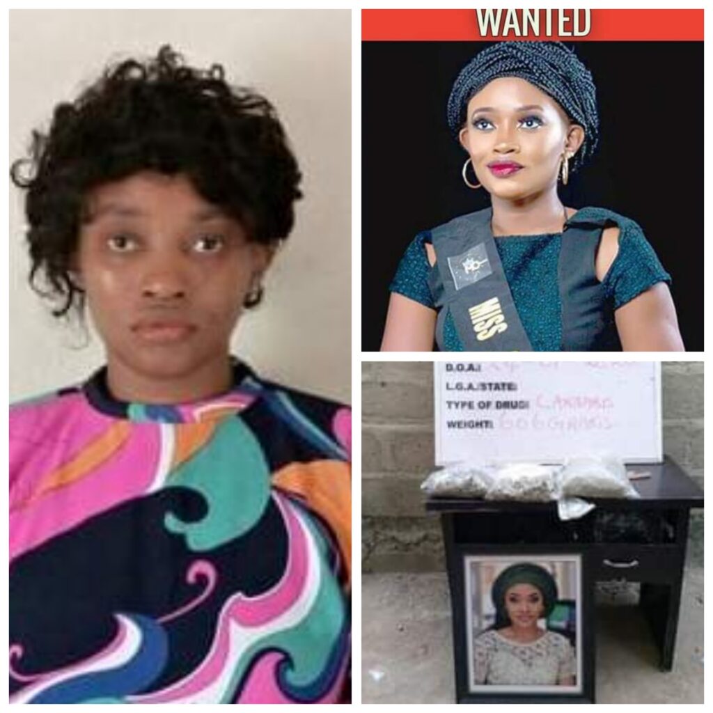 wanted_1725197050