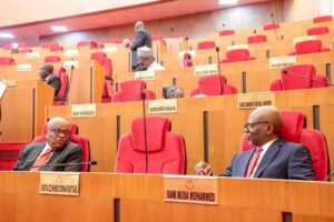 Ifeanyi Ubah: Tears, tributes as Senate holds special plenary for late senator