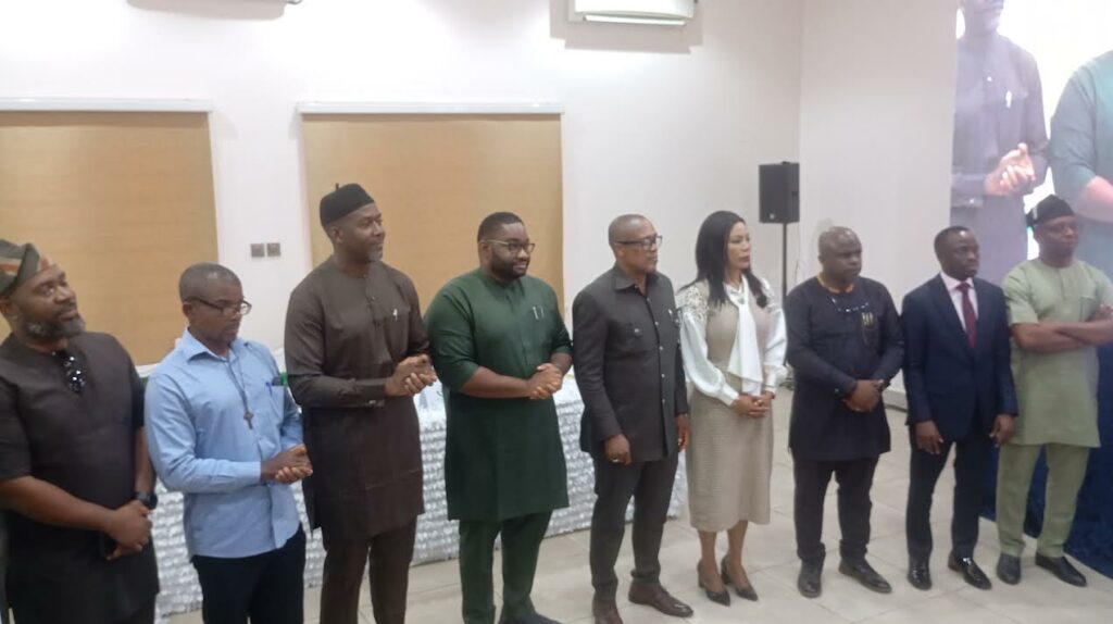 EU, Enugu govt launch N4.3b solar power project for hospitals, businesses