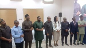 EU, Enugu govt launch N4.3b solar power project for hospitals, businesses