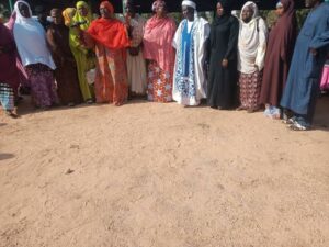 Female political appointees, others gang against GBV in Gombe