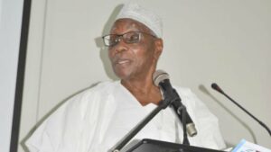 Professor Ango Abdullahi