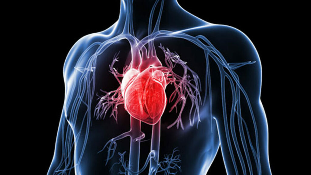 Heart-diseases-1062×598