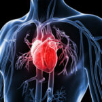 Heart-diseases-1062×598
