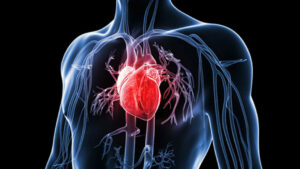Heart-diseases-1062×598