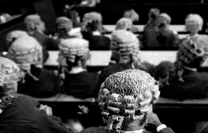 judges
