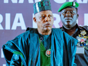 Vice President Kashim Shettima