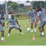 Super Eagles