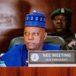 Vice President Kassim Shettima