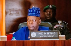 Vice President Kassim Shettima