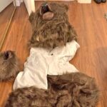 bear suit to fake
