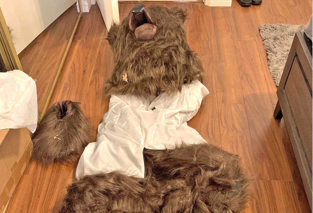 bear suit to fake