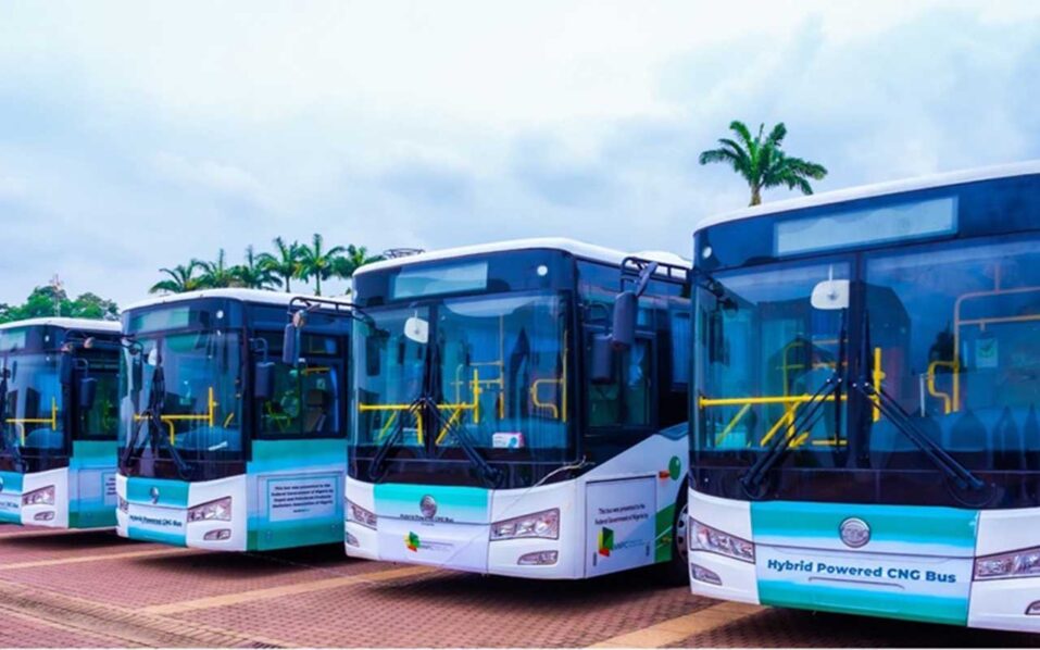 cng-bus-957×598