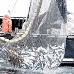 illegal-fishing-640×360-1