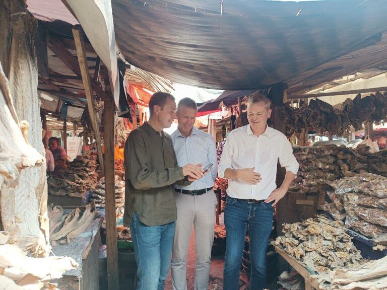 Norway's Seafood Council urges Nigeria to grant zero-duty status to stockfish