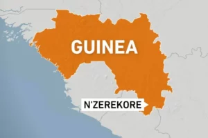 1000562-NZEREKORE-GUINEA-MAP-1733126149