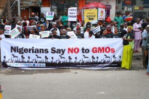 GMO-1024×683