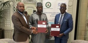 Katsina signs MoU with Paris energy giant for sustainable electricity