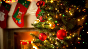 IMG-20241212-WA0010
