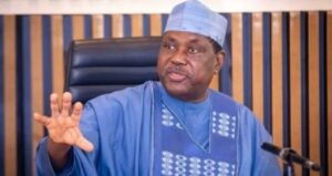Secretary to the Government of the Federation (SGF) George Akume