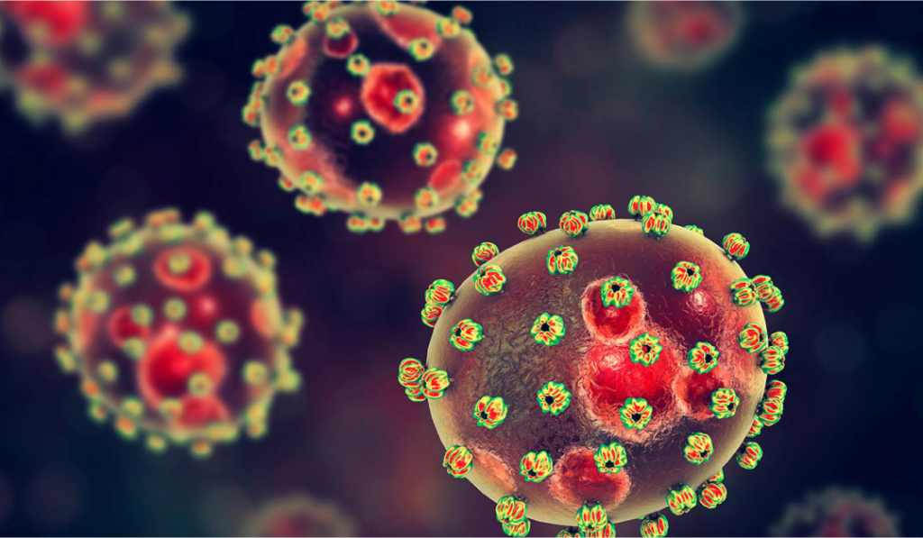 Lassa Fever